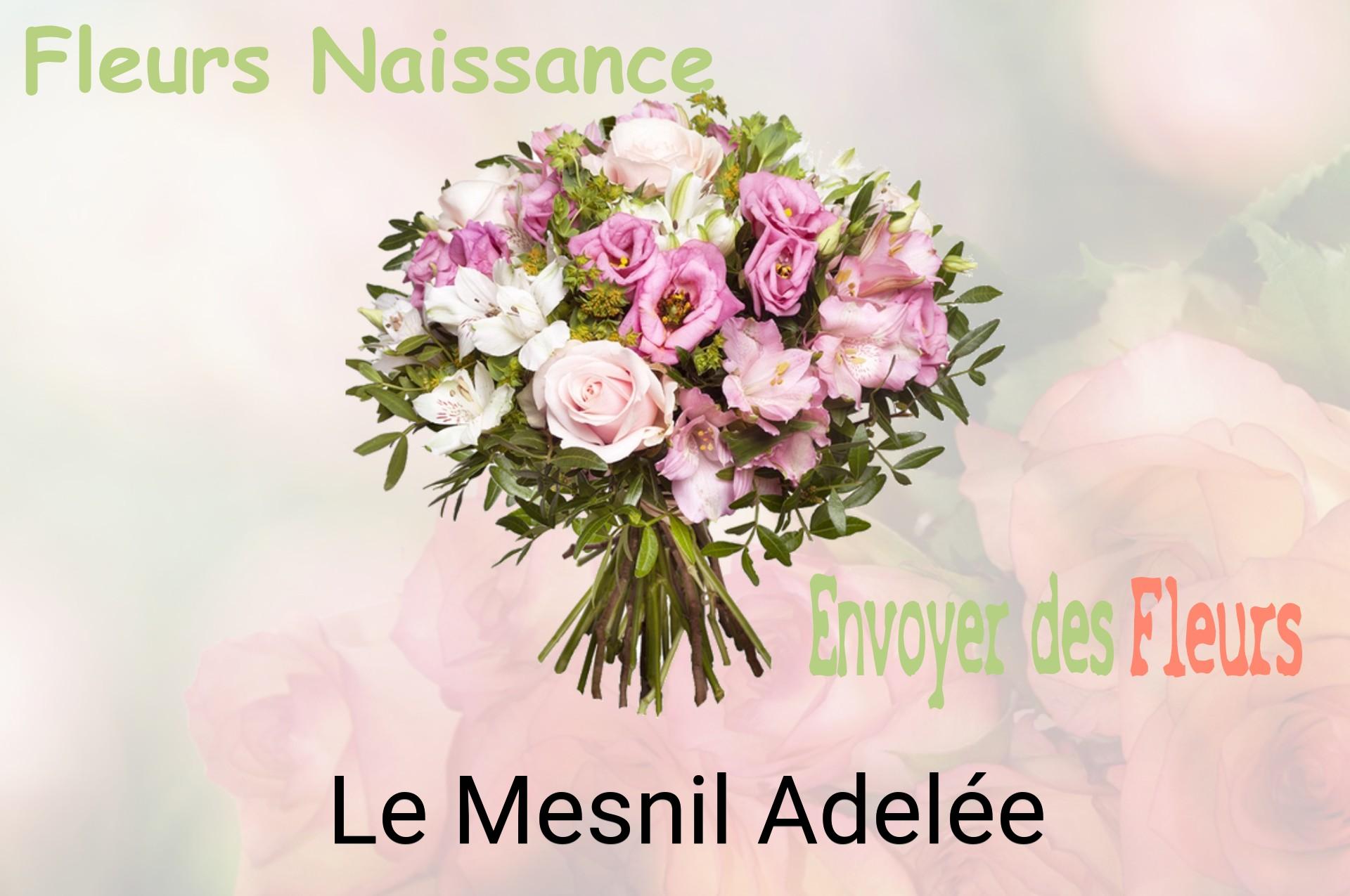 Bouquet de fleurs de naissance livré à Le Mesnil-Adelée
